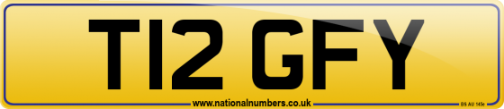 T12 GFY