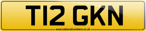 T12 GKN