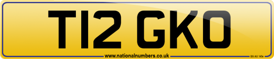 T12 GKO