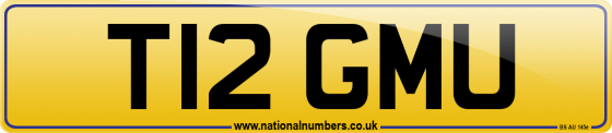 T12 GMU