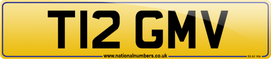 T12 GMV