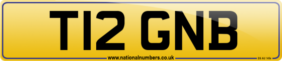 T12 GNB
