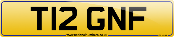 T12 GNF