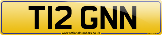 T12 GNN