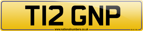 T12 GNP