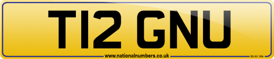 T12 GNU