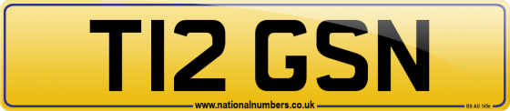 T12 GSN