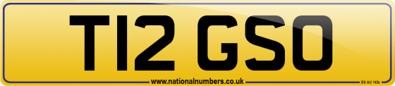 T12 GSO