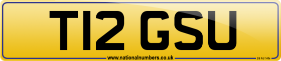 T12 GSU