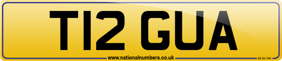 T12 GUA
