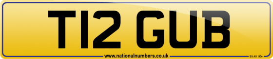 T12 GUB