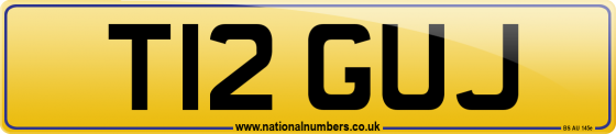 T12 GUJ