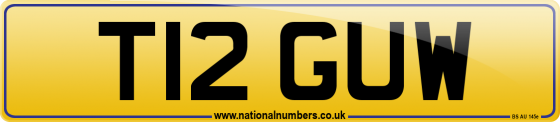 T12 GUW