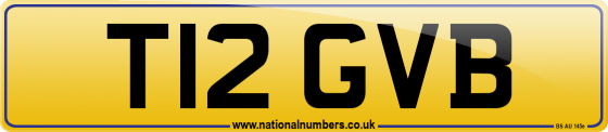 T12 GVB