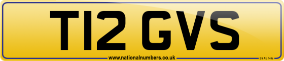 T12 GVS