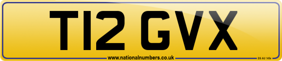 T12 GVX