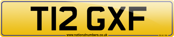 T12 GXF