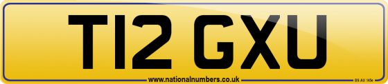 T12 GXU