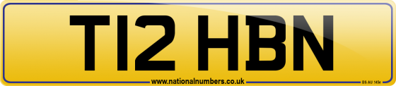 T12 HBN