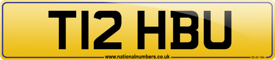 T12 HBU
