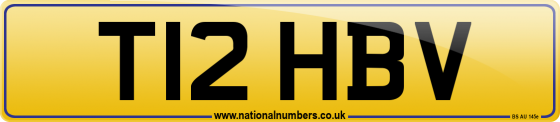 T12 HBV