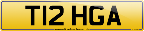 T12 HGA