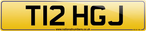 T12 HGJ