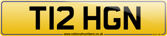 T12 HGN
