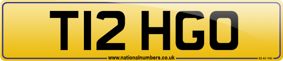 T12 HGO