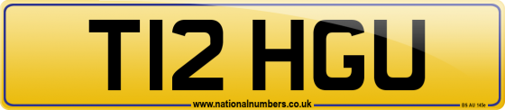 T12 HGU