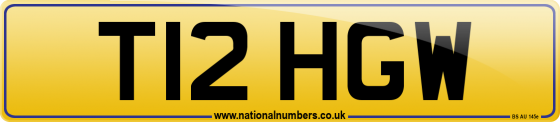 T12 HGW