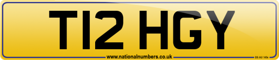 T12 HGY