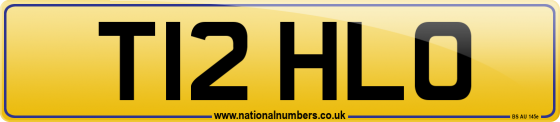 T12 HLO