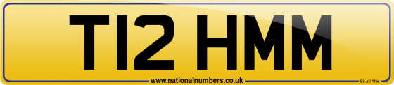 T12 HMM