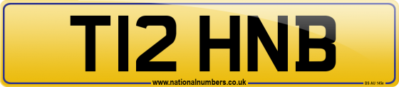 T12 HNB