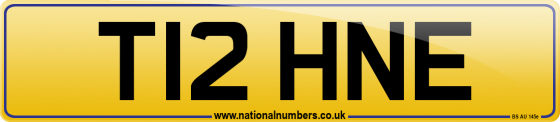 T12 HNE