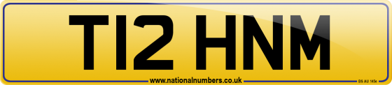 T12 HNM