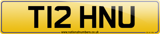 T12 HNU