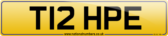 T12 HPE