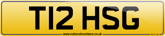 T12 HSG