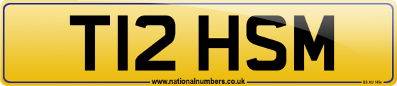 T12 HSM