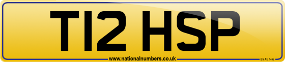T12 HSP