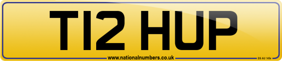 T12 HUP