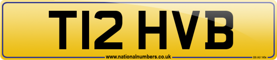 T12 HVB