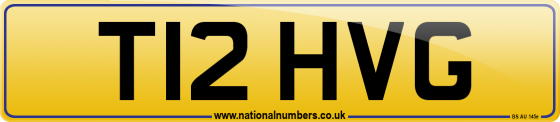 T12 HVG