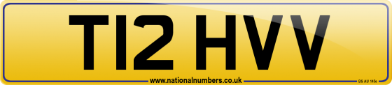 T12 HVV