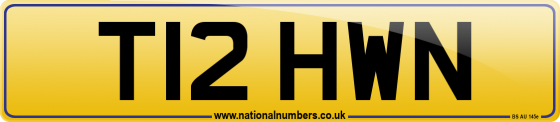 T12 HWN