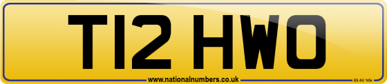 T12 HWO