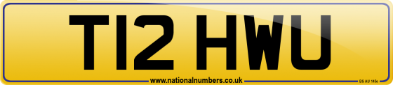T12 HWU