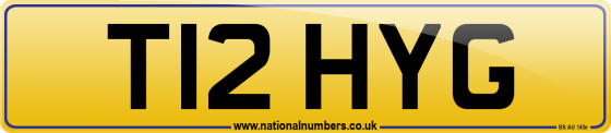T12 HYG